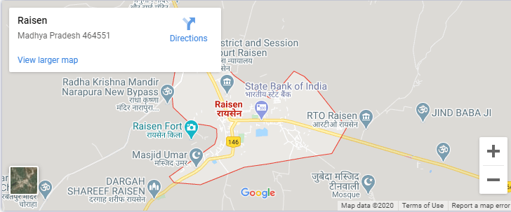 Packers and movers raisen