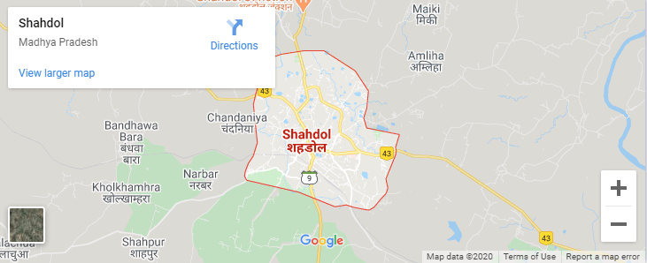 Packers and Movers shahdol